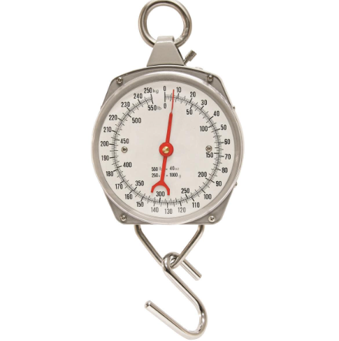Hanging Scale