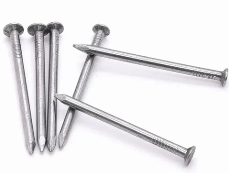 Galvanized CTN Nails 2 1/2"